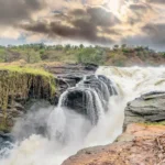 Murchison Falls National Park Uganda​